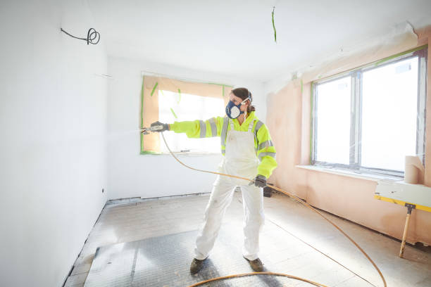Best Attic Mold Removal  in Spring Hill, KS