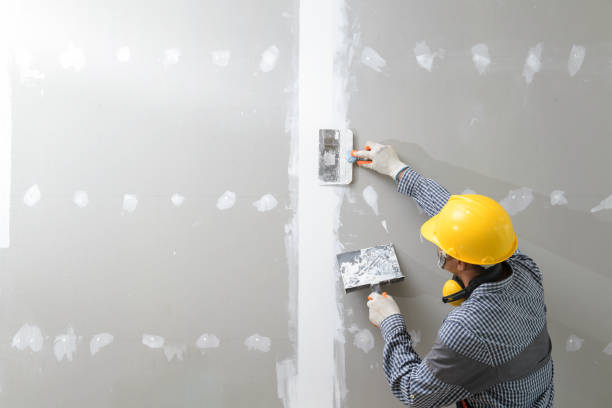 Best Water Damage & Mold Remediation  in Spring Hill, KS