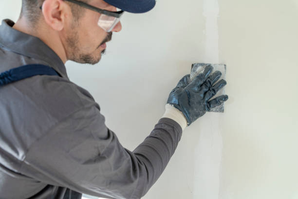Best Mold Remediation for Healthcare Facilities  in Spring Hill, KS