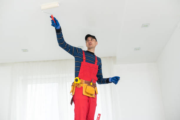 Best Indoor Air Quality Assessment  in Spring Hill, KS