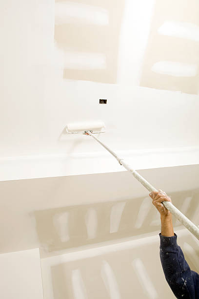 Best Commercial Mold Inspection  in Spring Hill, KS