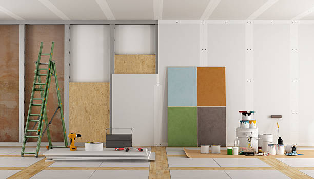 Best Basement Mold Removal  in Spring Hill, KS