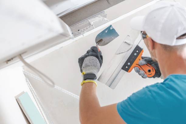 Reliable Spring Hill, KS Mold Removal Solutions